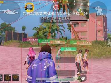 奔放和平精英外挂